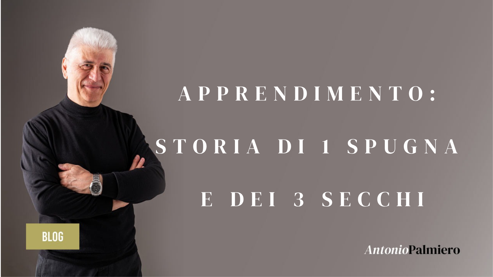 APPRENDIMENTO STORIA 1 SPUGNA E 3 SECCHI